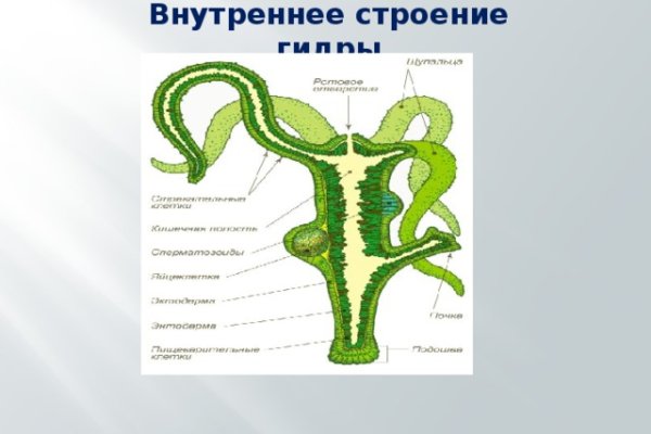 Как зайти на кракен